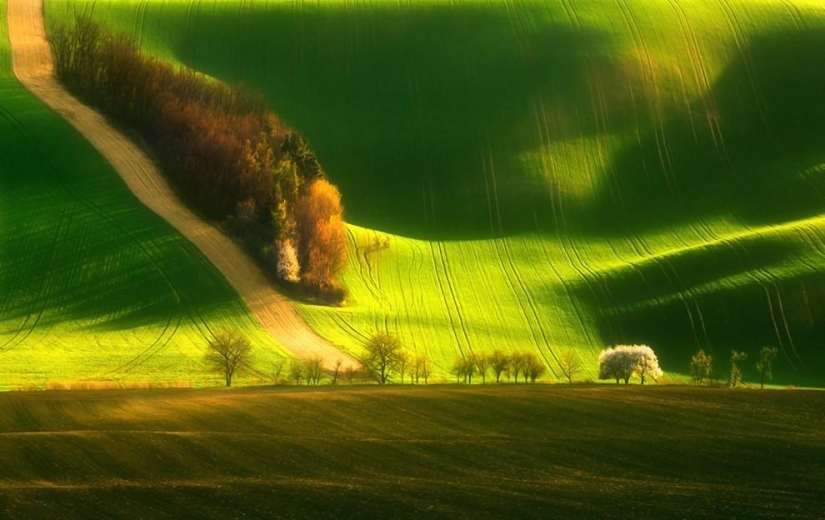 You won't believe — unreal real pictures