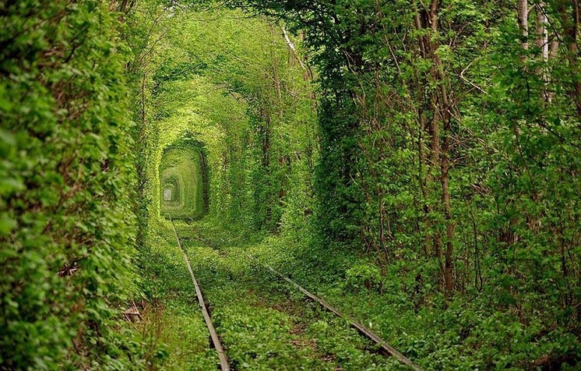 You won't believe — unreal real pictures
