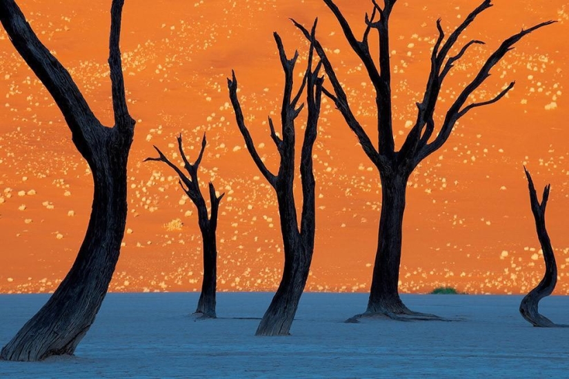 You won't believe — unreal real pictures