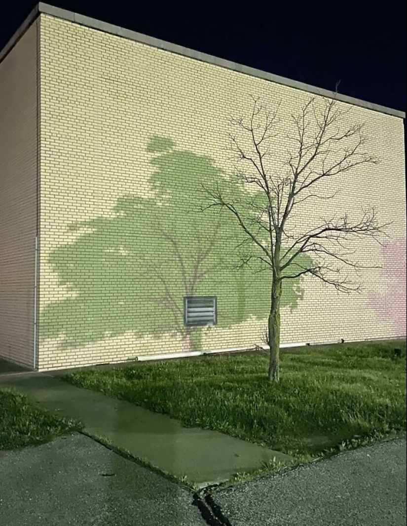 You'll have to look at these photos twice: 35 bizarre optical illusions with a shadow