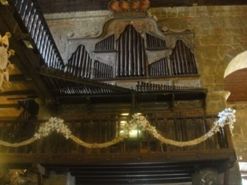 10 amazing facts about the body — very ancient and large musical instrument
