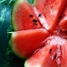 10 amazing recipes for watermelon dishes 10 amazing recipes for watermelon dishes