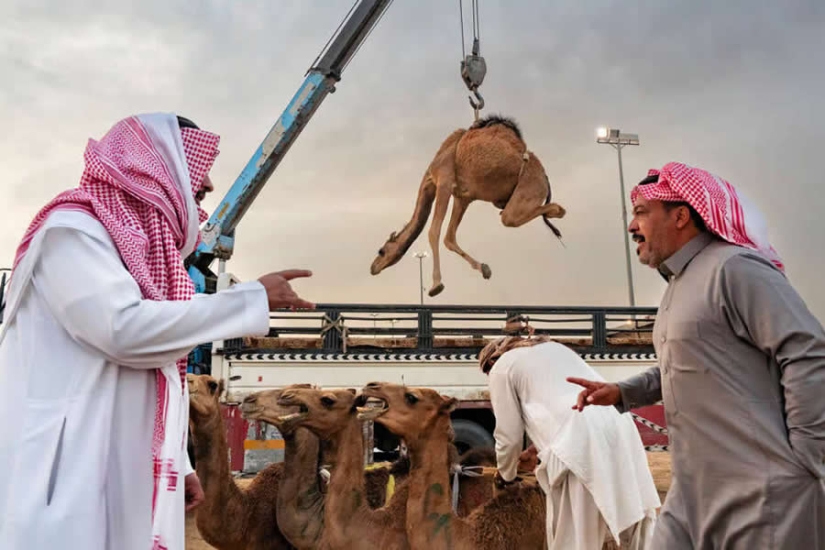 10 Amazing Visual Story Winning Photos From The Independent Photographer Awards 2025