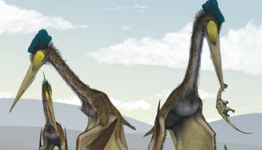 10 animals that have become extinct - fortunately for humans