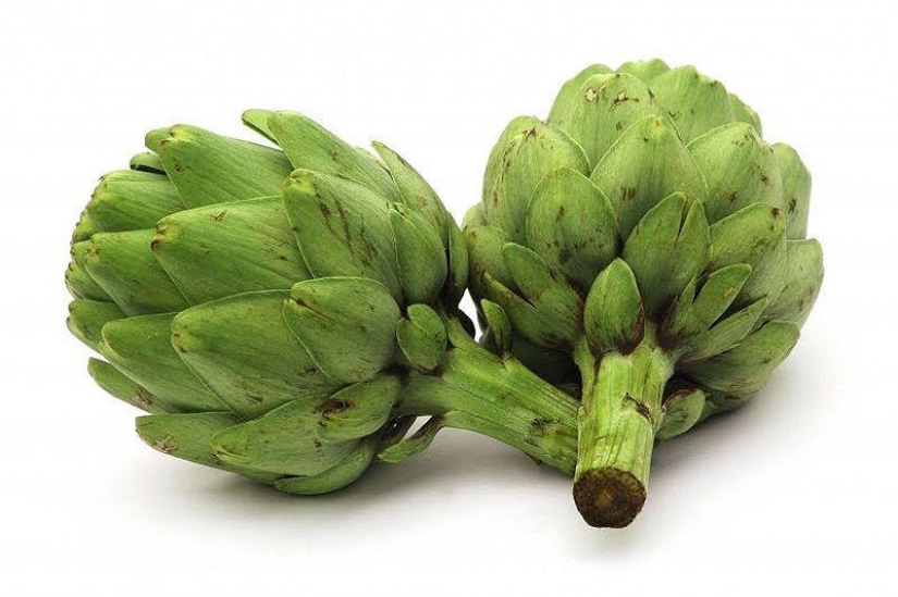 10 best herbal teas for weight loss 10 best herbal teas for weight loss