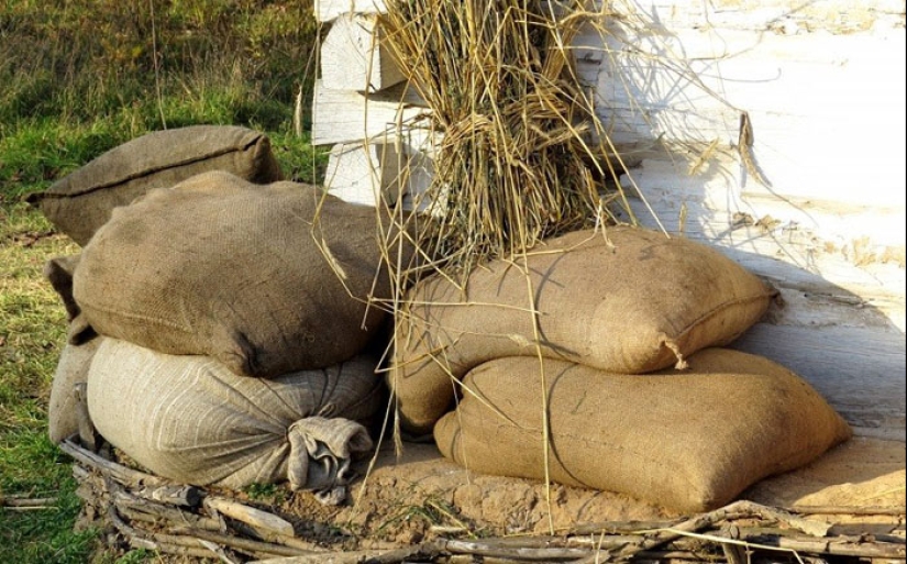 10 casos impactantes de muertes trágicas por alimentos