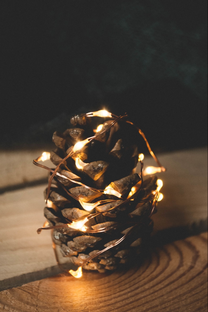 10 consejos sencillos sobre cómo tomar una foto divertida de un bulto común y corriente