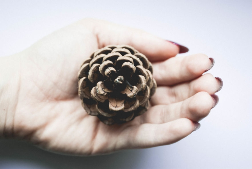 10 consejos sencillos sobre cómo tomar una foto divertida de un bulto común y corriente