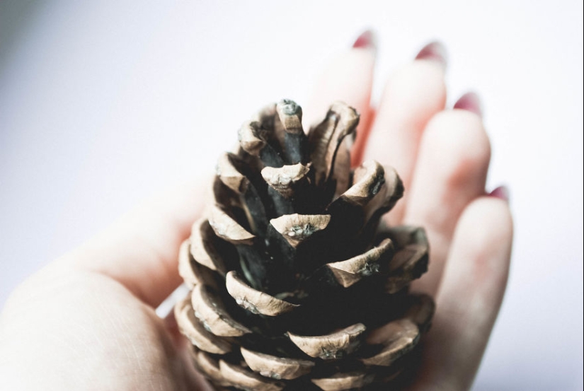 10 consejos sencillos sobre cómo tomar una foto divertida de un bulto común y corriente