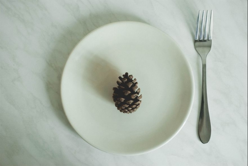 10 consejos sencillos sobre cómo tomar una foto divertida de un bulto común y corriente