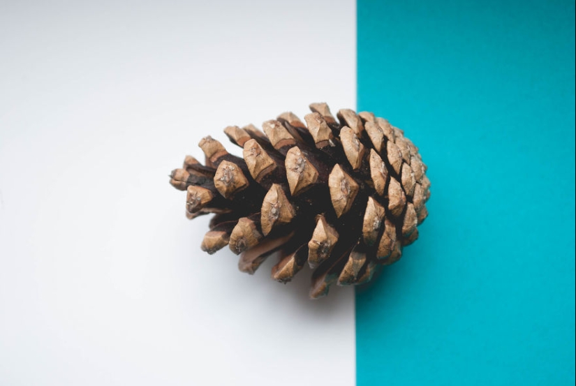 10 consejos sencillos sobre cómo tomar una foto divertida de un bulto común y corriente