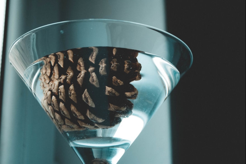 10 consejos sencillos sobre cómo tomar una foto divertida de un bulto común y corriente