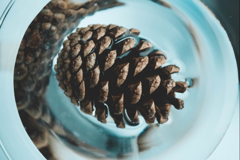 10 consejos sencillos sobre cómo tomar una foto divertida de un bulto común y corriente