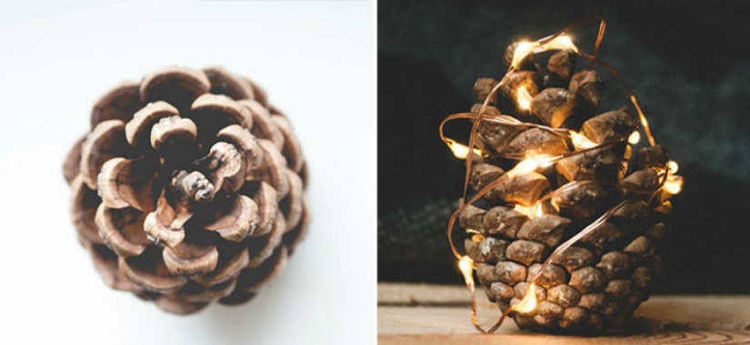 10 consejos sencillos sobre cómo tomar una foto divertida de un bulto común y corriente