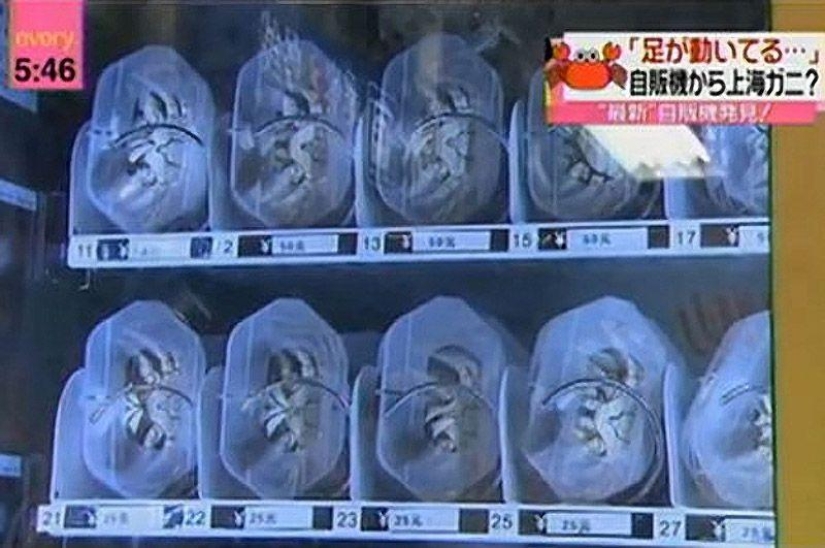 10 cosas inusuales que puedes comprar en China 10 cosas inusuales que puedes comprar en China