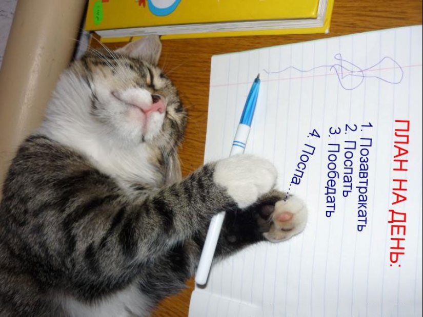 10 cosas que hacer antes de las 10 am 10 cosas que hacer antes de las 10 am