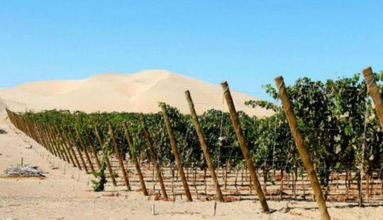10 countries where, it turns out, they produce delicious wine, and we didn't even know about it 10 countries where, it turns out, they produce delicious wine, and we didn't even know about it
