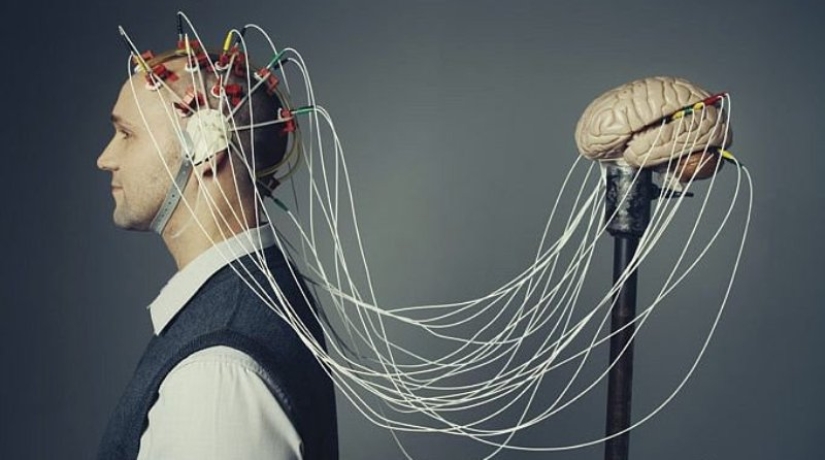 10 datos increíbles sobre el cerebro humano que te sorprenderán