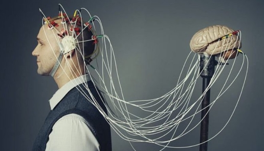 10 datos increíbles sobre el cerebro humano que te sorprenderán 10 datos increíbles sobre el cerebro humano que te sorprenderán