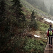10 deadly dangers lurking in our forests 10 deadly dangers lurking in our forests