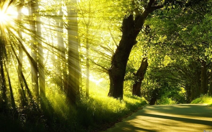 10 Easy Ways to Boost Your Mental Abilities 10 Easy Ways to Boost Your Mental Abilities