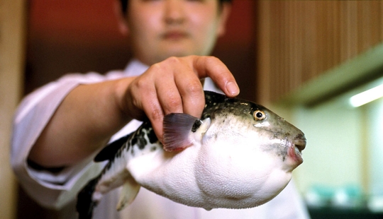 10 emociones experimentadas con frecuencia que, resulta, tienen nombres 10 emociones experimentadas con frecuencia que, resulta, tienen nombres