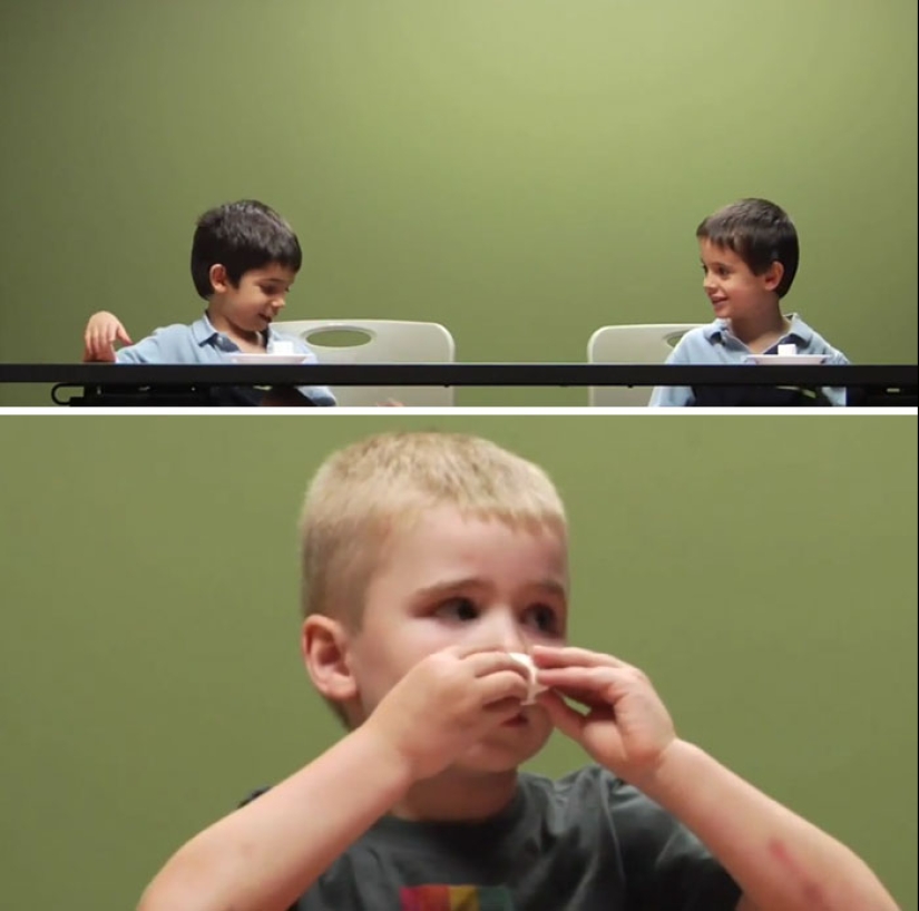 10 experimentos psicológicos sobre el comportamiento humano que revelan la desagradable verdad sobre nosotros