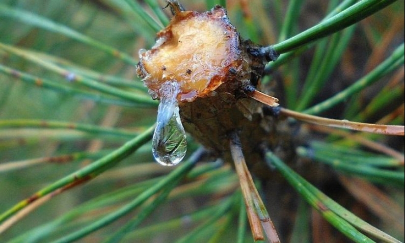 10 facts, knowledge of which may one day save your life