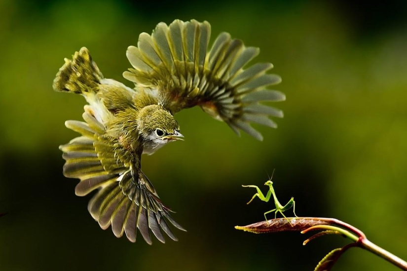 10 incredible moments caught by the lens