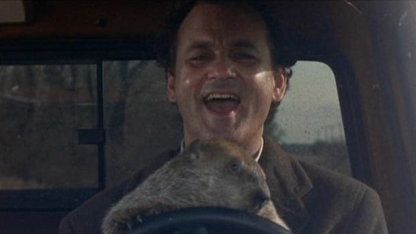 10 interesting facts about the movie "Groundhog Day"