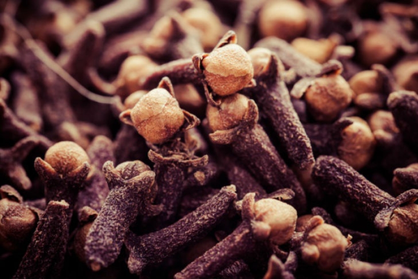 10 killer scents from mosquitoes