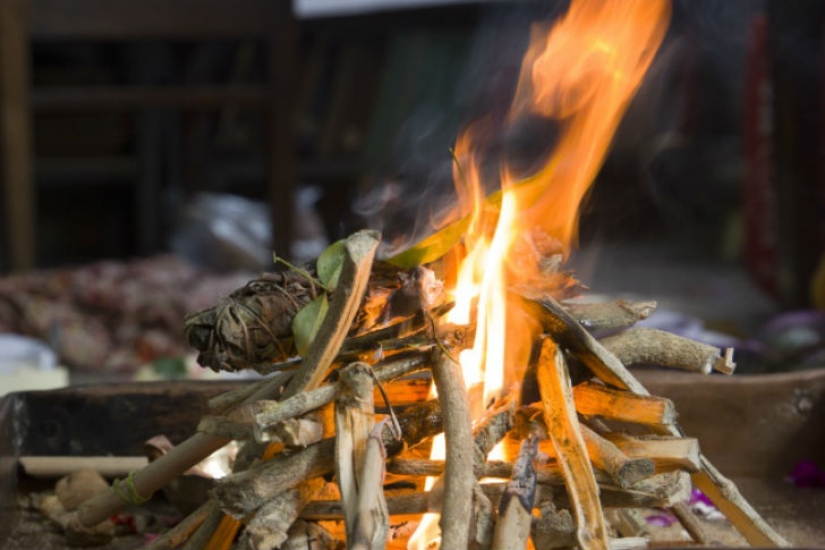 10 killer scents from mosquitoes