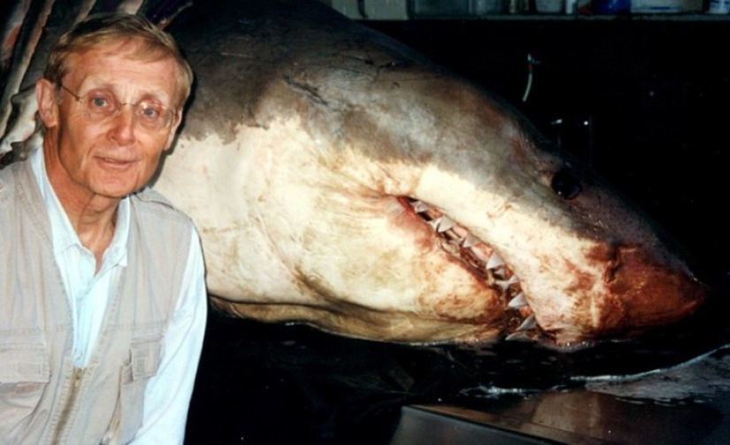 10 libros exitosos cuyos autores se arrepintieron de haberlos escrito