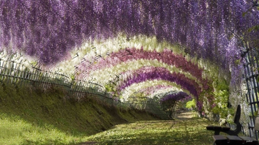 10 lugares de belleza sobrenatural que realmente existen en la Tierra