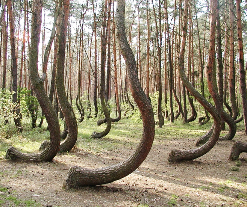 10 lugares de belleza sobrenatural que realmente existen en la Tierra