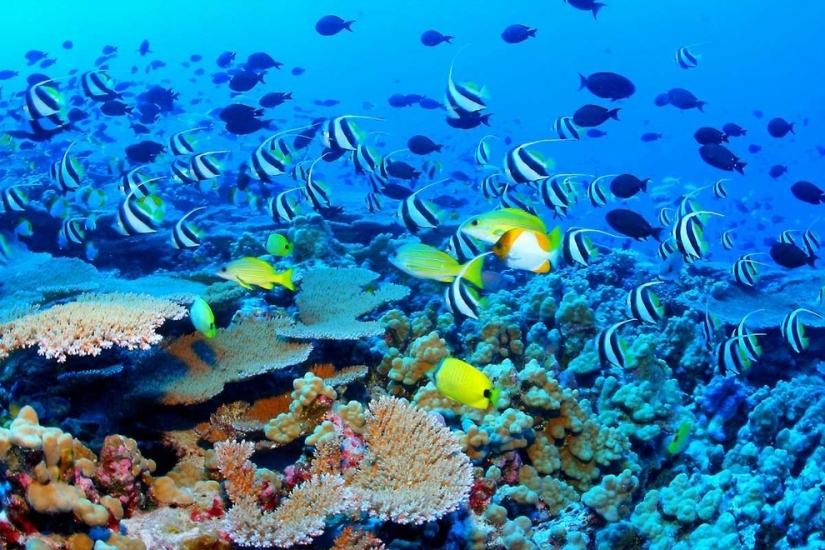 10 lugares de belleza sobrenatural que realmente existen en la Tierra