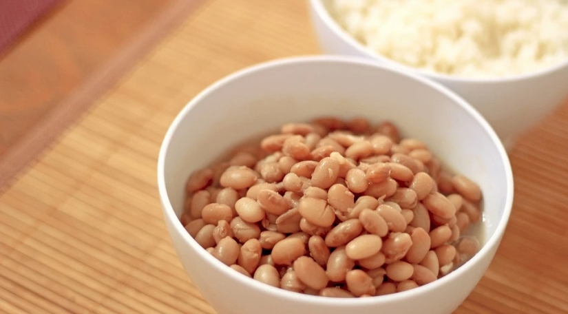 10 main vegetable sources of protein: they contain no less protein than meat