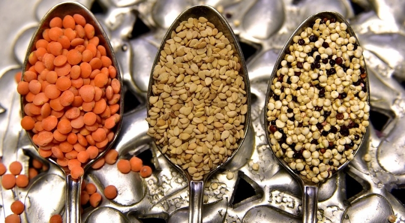 10 main vegetable sources of protein: they contain no less protein than meat