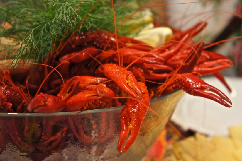 10 most famous dishes of Swedish cuisine