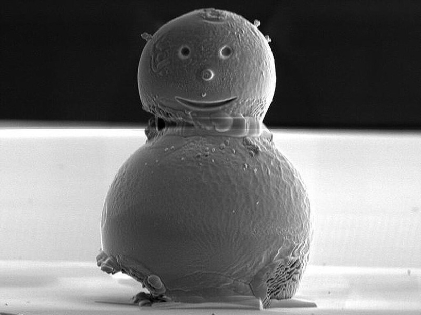 10 Most Microscopic Things Ever Created