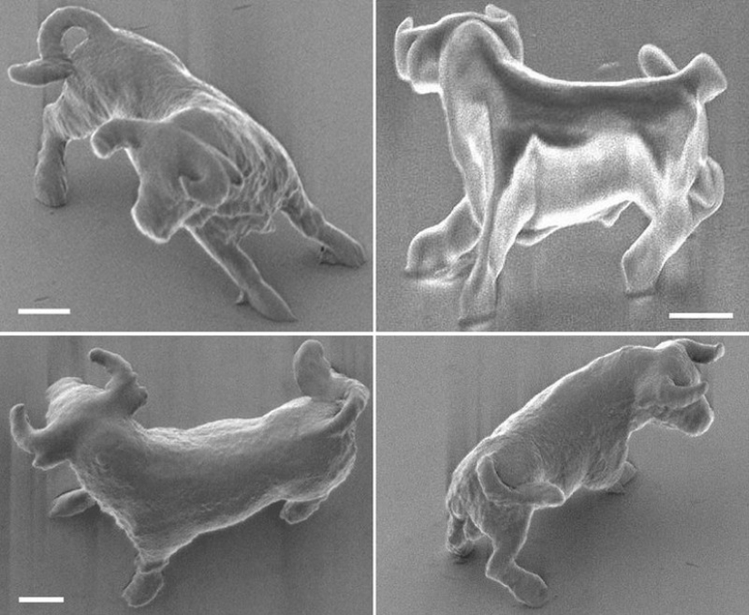 10 Most Microscopic Things Ever Created