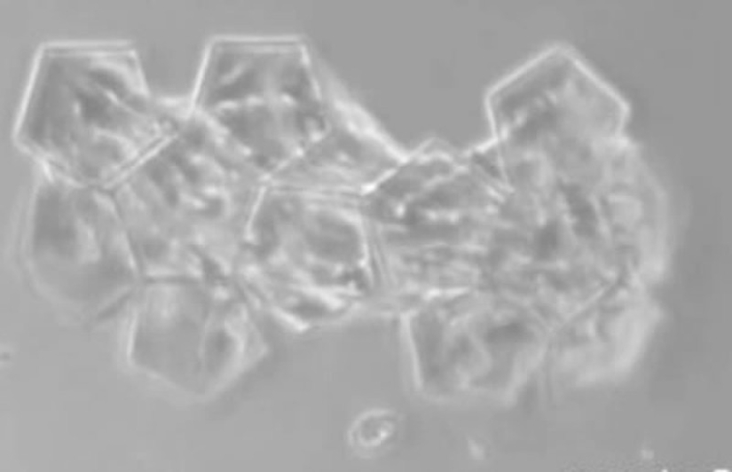 10 Most Microscopic Things Ever Created