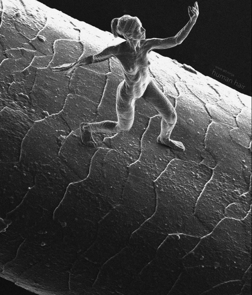 10 Most Microscopic Things Ever Created