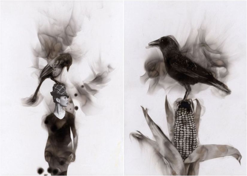 10 most shocking of ways in which artists create their works