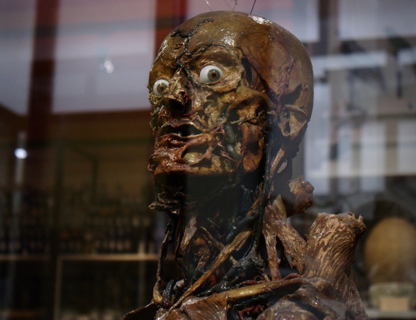 10 most shocking of ways in which artists create their works