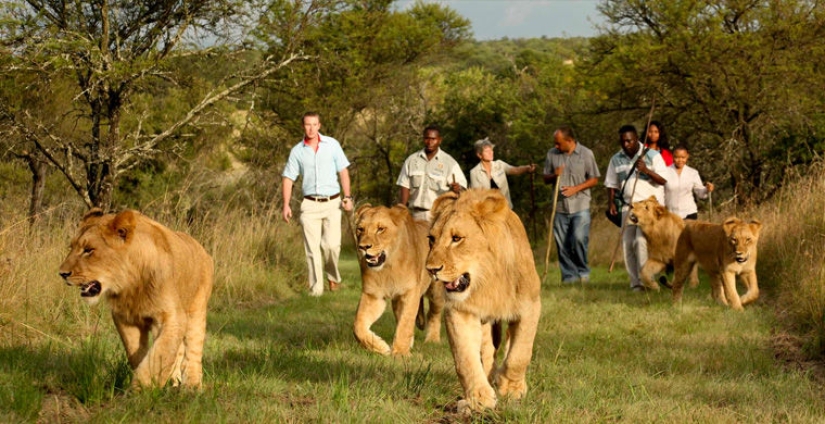 10 most unexpected and exotic hotel services