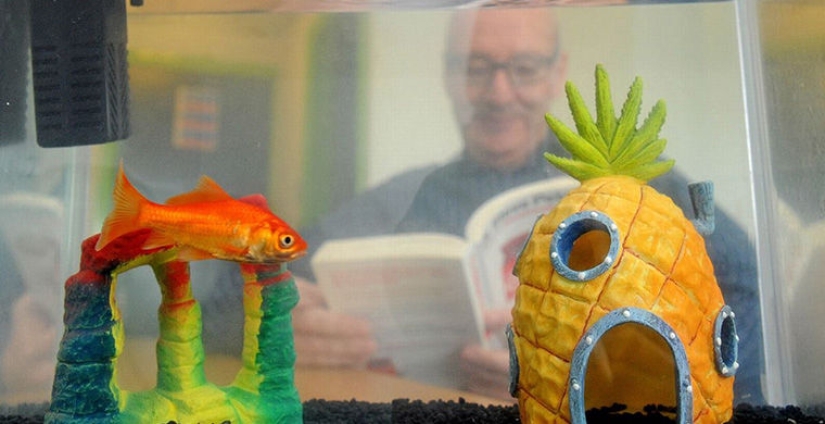 10 most unexpected and exotic hotel services