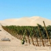 10 países donde, resulta, producen vino delicioso, y ni siquiera lo sabíamos 10 países donde, resulta, producen vino delicioso, y ni siquiera lo sabíamos
