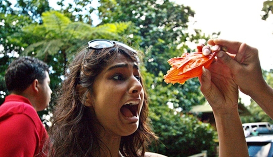 10 phobias caused by nature 10 phobias caused by nature