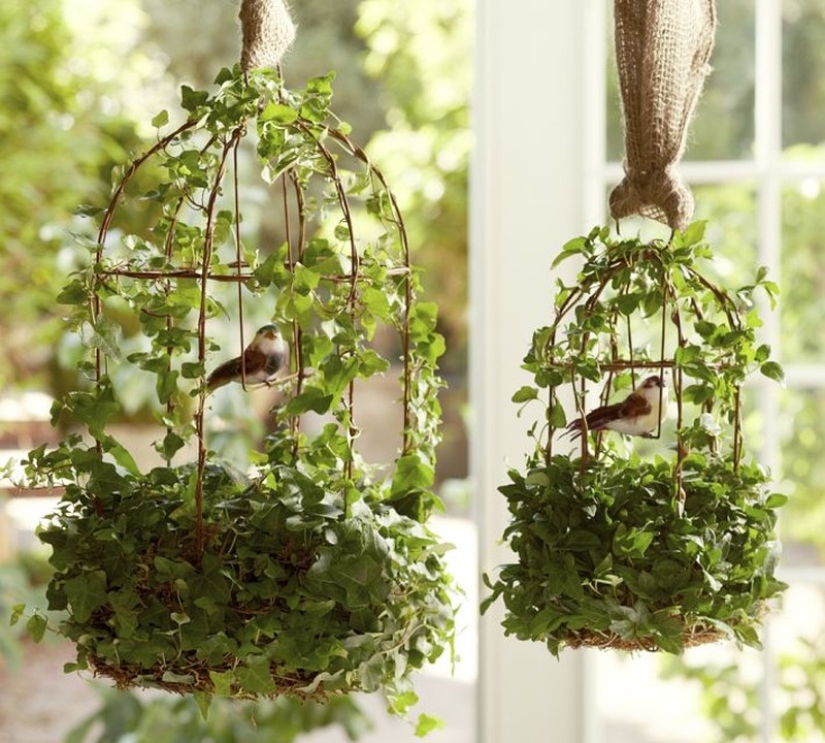 10 plantas de interior sin pretensiones para aquellos que no tienen tiempo